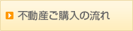 �s���Y���w���̗���E�E���w�����k���玑���v��╨�����w�A�s���Y�����_��ɂ����闬������Љ�