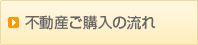 �s���Y���w���̗���