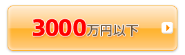 3000���~�ȉ�