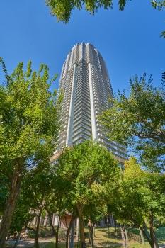 ５５階建　高層タワーマンション