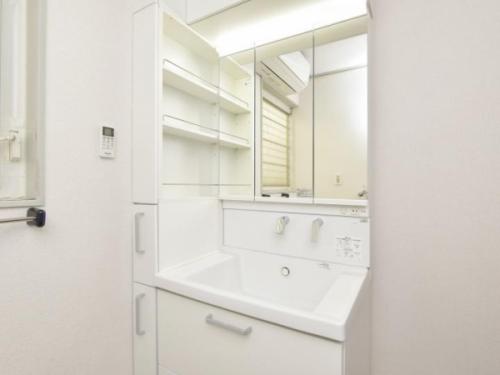 三面鏡、シャワー水栓、収納付きの洗面台