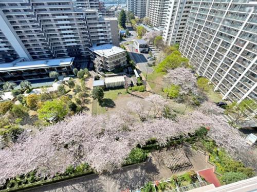 春には、敷地内の桜が咲いて季節の移ろいを感じることができます。