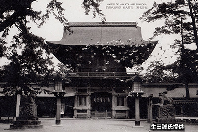 日本三大八幡宮のひとつ 正月に「玉取祭」