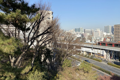 現在の「品川神社」の「富士塚」からの眺望