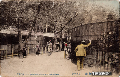 明治後期の「上野動物園」