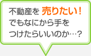 �s���Y�𔄂肽���I�ł��Ȃɂ����������炢���̂��c�H