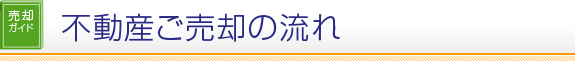 ���p�K�C�h �s���Y�����p�̗���