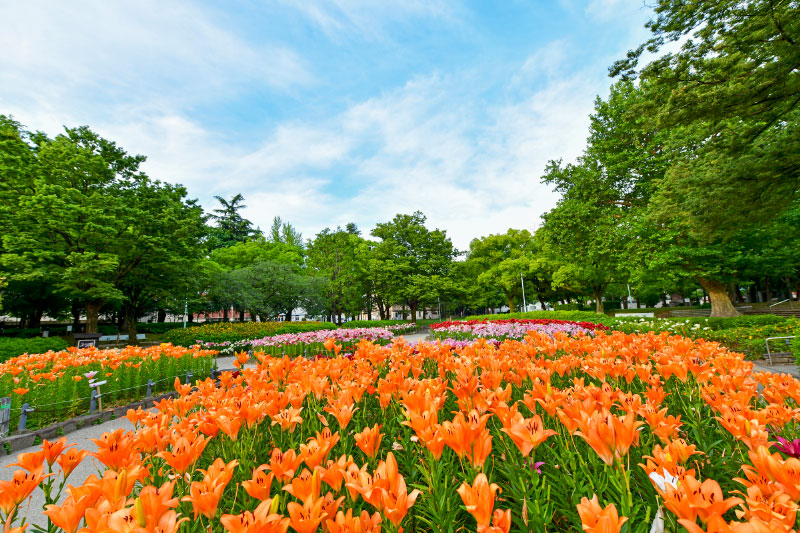 千種公園