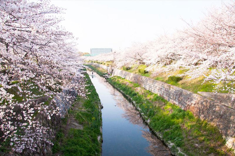 山崎川