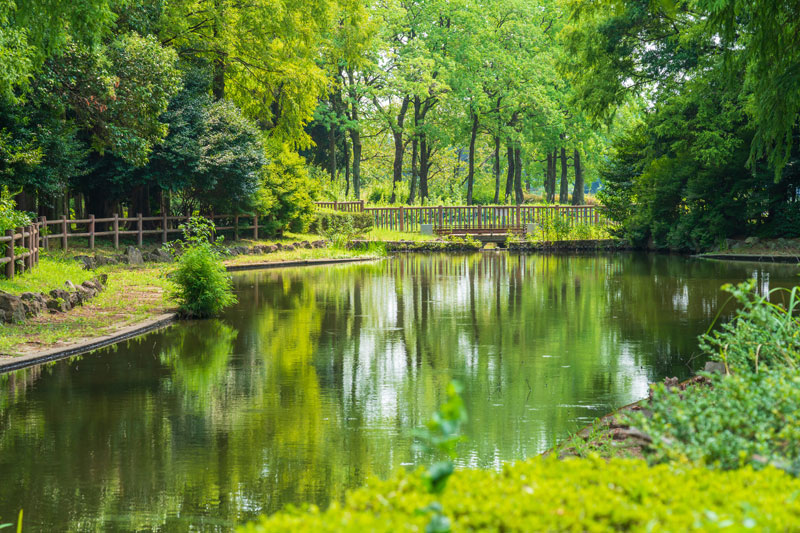 庄内緑地公園