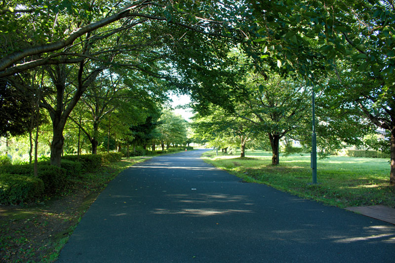 武蔵野の森公園