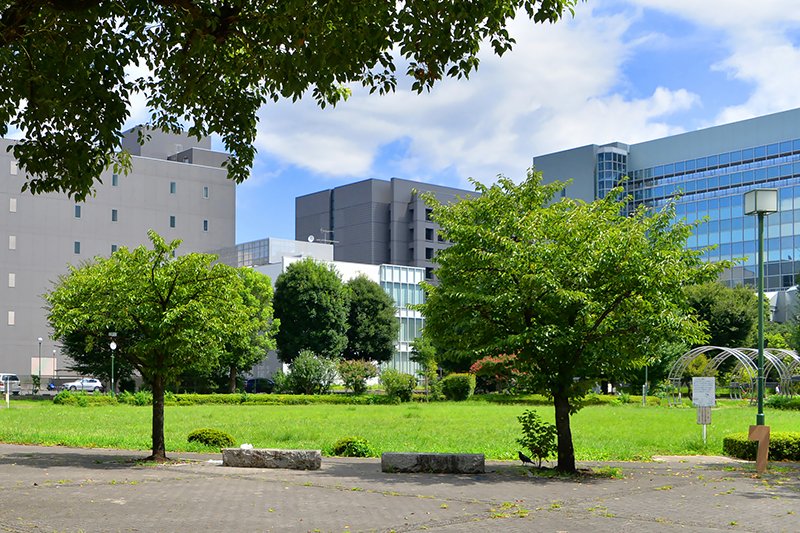 府中インテリジェントパーク・すずかけ公園