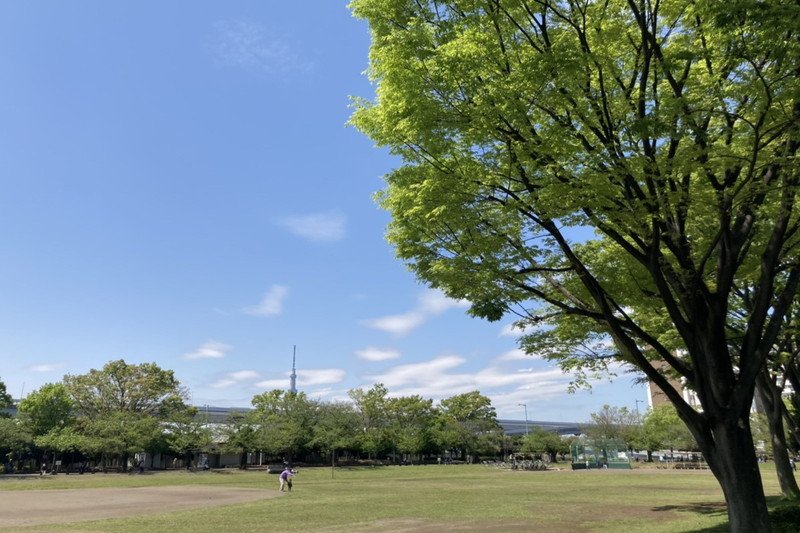 新小岩公園