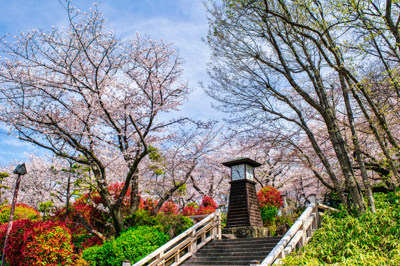 飛鳥山公園