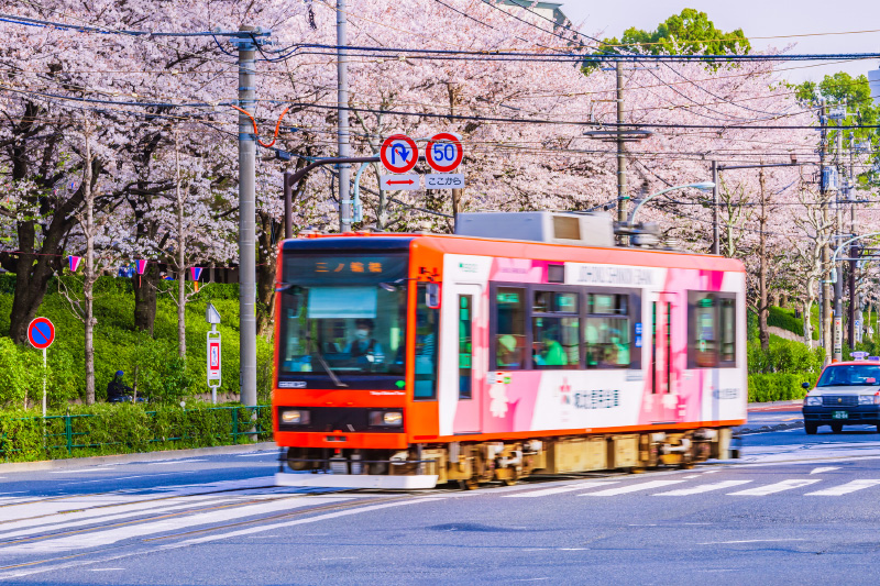 東京さくらトラム