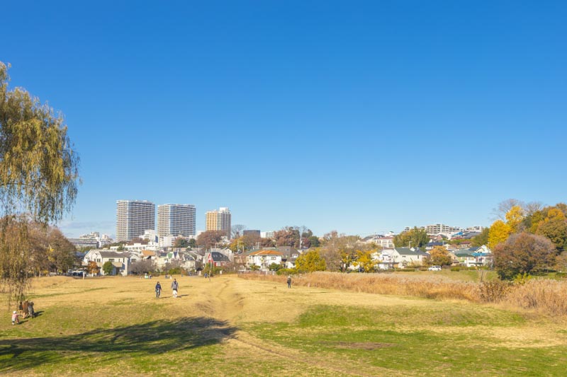 武蔵野公園