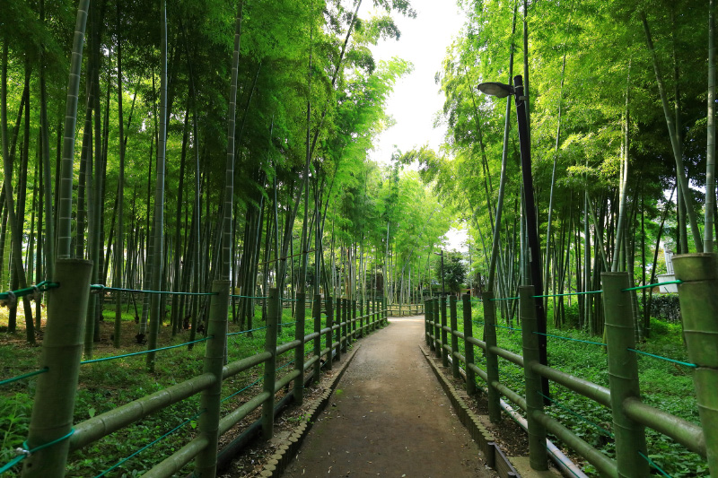 すずめのお宿緑地公園