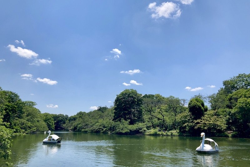 広域避難場所でもある都立井の頭恩賜公園