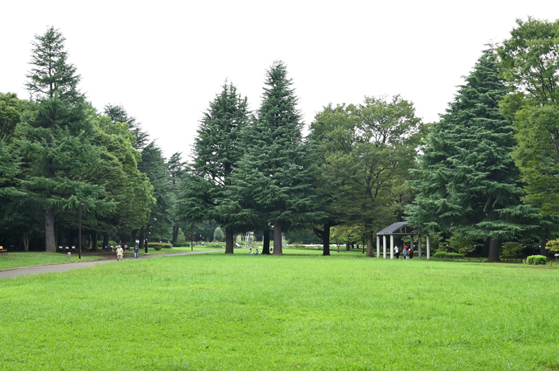 代々木公園