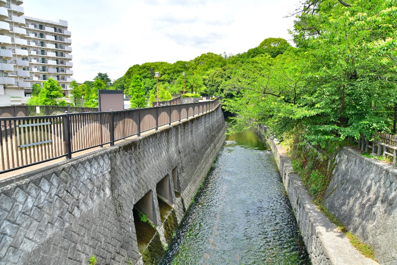 妙正寺川