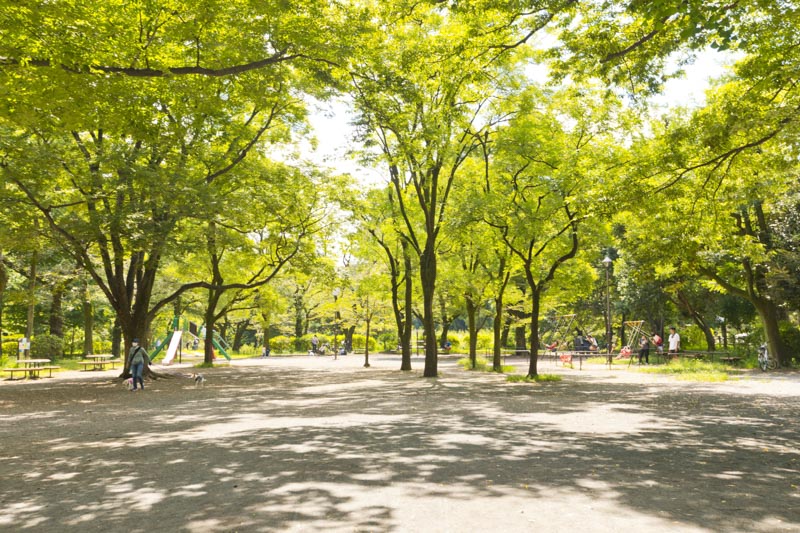 善福寺公園