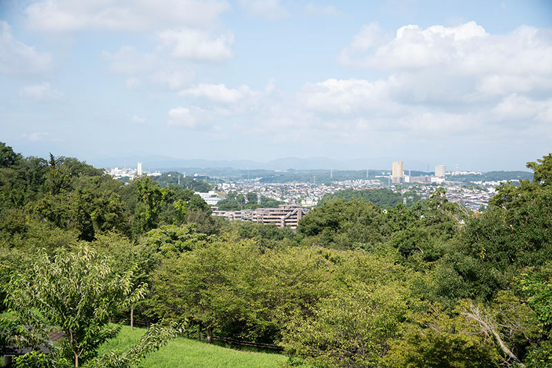 桜ヶ丘公園から望む多摩市内