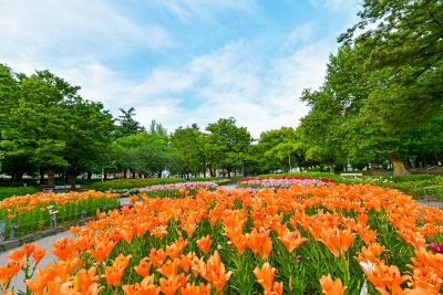 愛知県名古屋市千種区