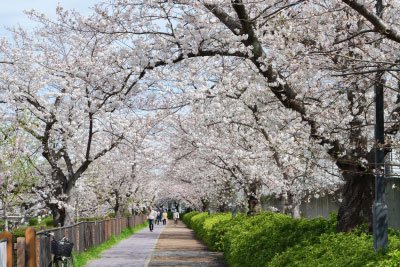 愛知県名古屋市瑞穂区