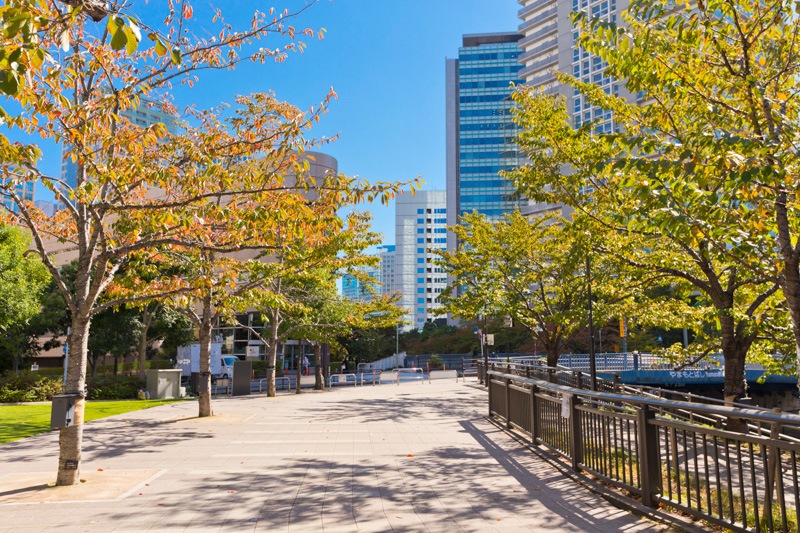 東京都品川区