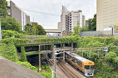 現在の「玉川上水水路橋」