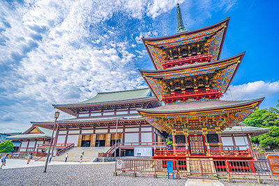 現在の「成田山新勝寺」