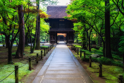 現在の「平林寺」