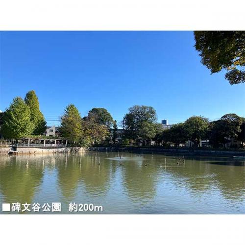 碑文谷公園 200m