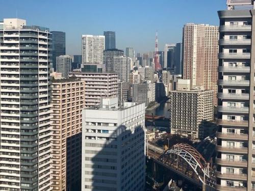 LD室内からの眺望