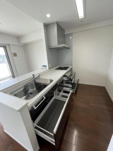 キッチン(扉等開放時)