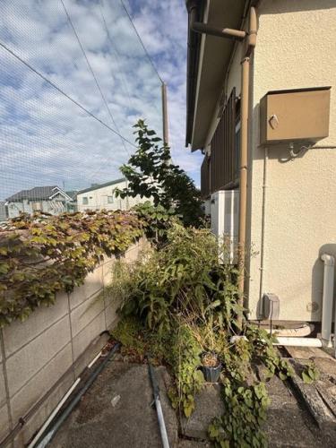 北側境界付近を撮影 北側境界付近を撮影