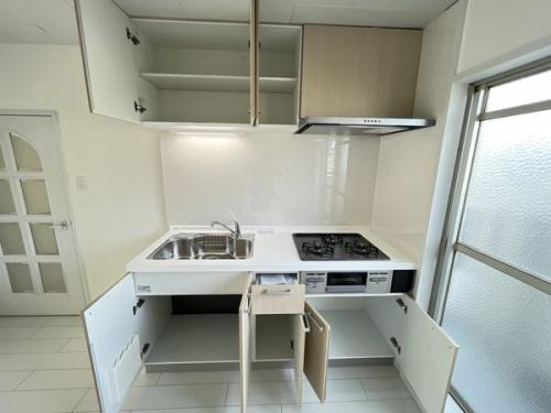 キッチン収納(扉開時)