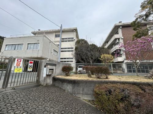 鎌倉市立今泉小学校 約370m