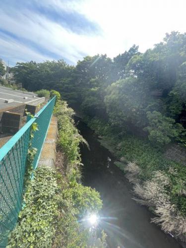 現地(河川部分) 現地(河川部分)