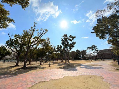 晴明丘中央公園 870m