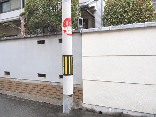 現地 東側境界（2026年3月撮影）