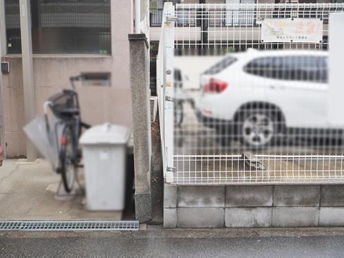 現地 西側境界（2026年3月撮影）