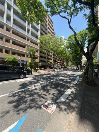 前面道路（けやき通り）