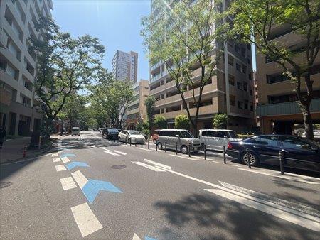 前面道路（けやき通り）