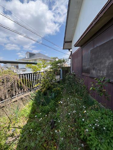 現地写真3（南側から撮影）