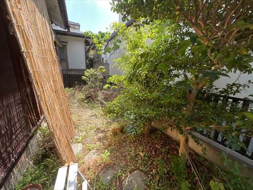 現地写真4（北側から撮影）