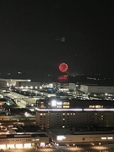 ザ・ルイガンズの花火（売主撮影）