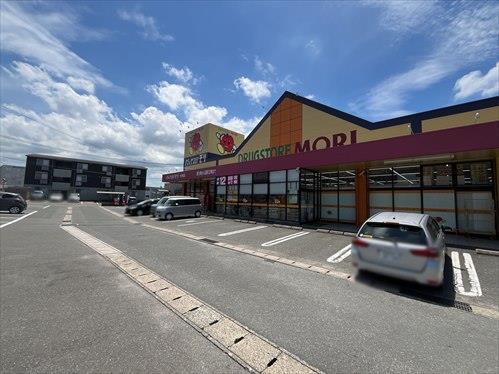 ドラッグストアモリ水城店