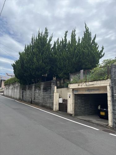 現地写真（2025年7月撮影）