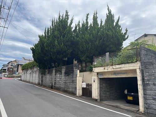 現地写真（2025年7月撮影）